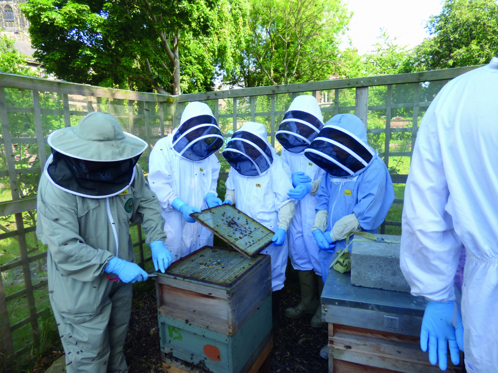 Students in beekeeping clothing examining bees on a screen.