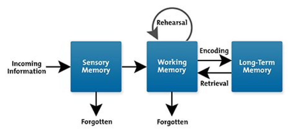 Cognitive Load Theory: How Much Is Too Much? - TeachingTimes