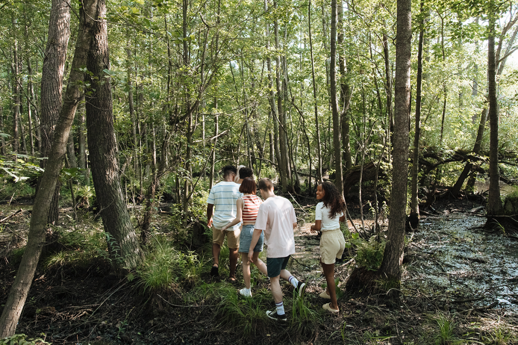 GCSE natural history students walking in a forest.