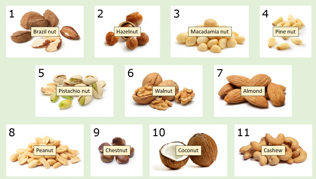 Slide showing a selecction of nuts for students to identify.