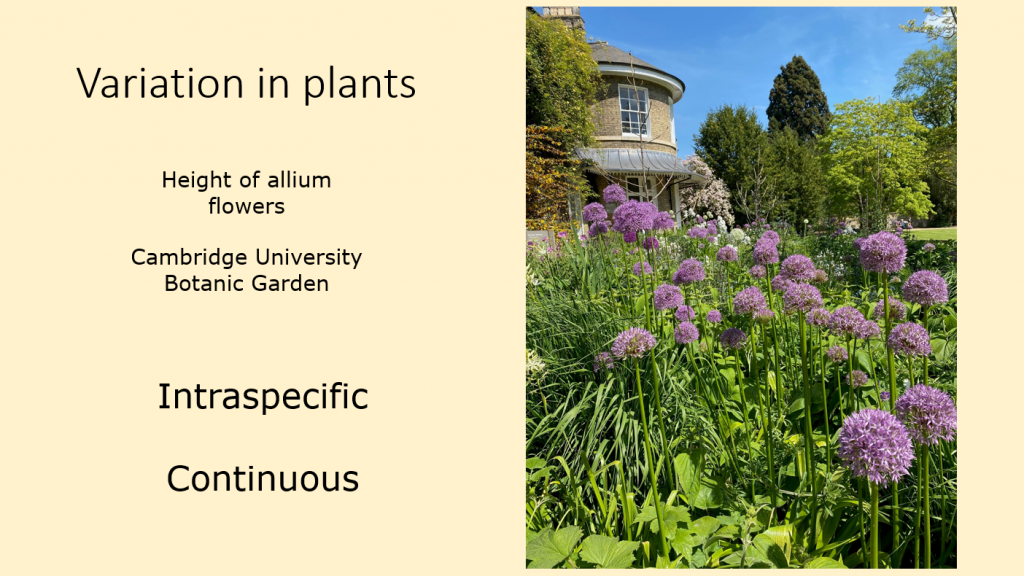 Variation in plants PowerPoint slide.